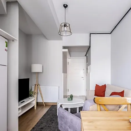 Modern And Central Flat Near Kadikoy Bull Statue Lejlighed Istanbul