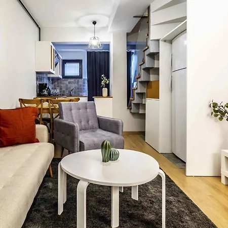 Modern And Central Flat Near Kadikoy Bull Statue Istanbul